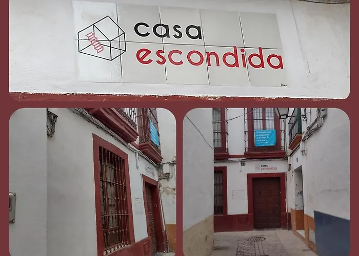Casa Escondida - Residencia De Artistas Homestay